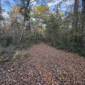 Photo #12 of TBD Salem Rd., Aynor, SC 24.9 acres