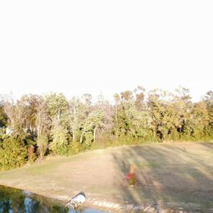 Photo #3 of TBD Salem Rd., Aynor, SC 24.9 acres