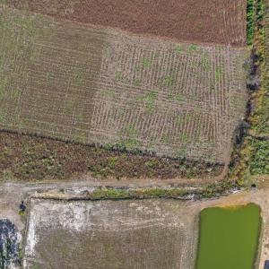View of rural area featuring abundant farmland