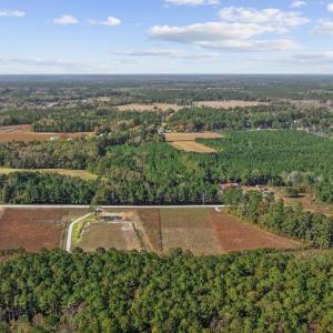 View of property location with a forest