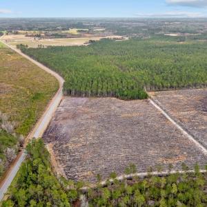Photo #14 of TBD Joyner Swamp Rd., Galivants Ferry, SC 5.0 acres