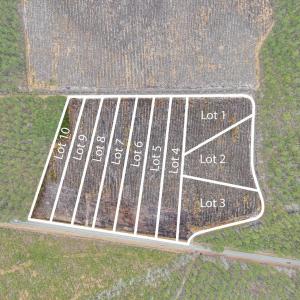 Photo #3 of TBD Joyner Swamp Rd., Galivants Ferry, SC 5.0 acres
