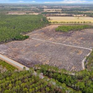 Photo #11 of TBD Joyner Swamp Rd., Galivants Ferry, SC 2.4 acres