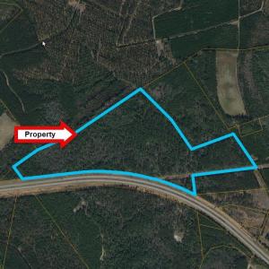 Photo #1 of TBD Roanoke Rd, Conway, SC 82.4 acres