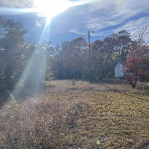View of yard featuring a storage shed