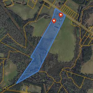 Photo #4 of 1175 Highway 9, Loris, SC 32.0 acres