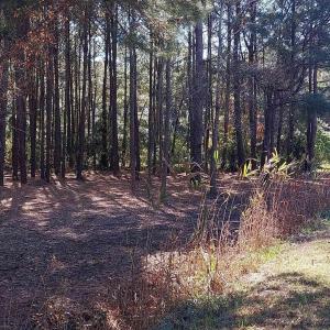 Photo #2 of Millers Rd., Mullins, SC 3.1 acres