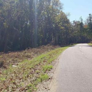 Photo #5 of Millers Rd., Mullins, SC 3.1 acres