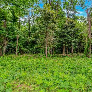 Photo #7 of Millers Rd., Mullins, SC 3.1 acres