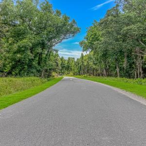 Photo #5 of Millers Rd., Mullins, SC 3.1 acres