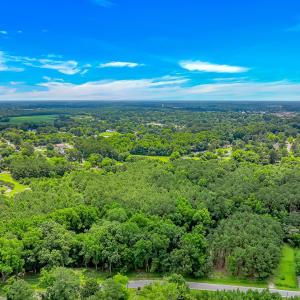 Photo #3 of Millers Rd., Mullins, SC 3.1 acres