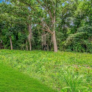 Photo #8 of Millers Rd., Mullins, SC 3.1 acres