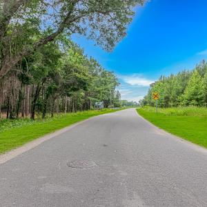 Photo #6 of Millers Rd., Mullins, SC 3.1 acres