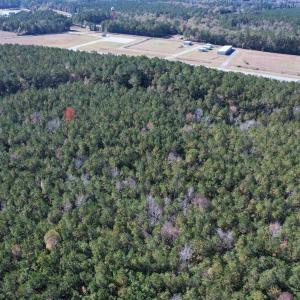 Photo #3 of 7.90 Acres-TBD Puncheon Creek Dr., Andrews, SC 7.9 acres