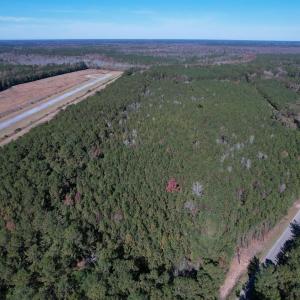 Photo #4 of 7.90 Acres-TBD Puncheon Creek Dr., Andrews, SC 7.9 acres