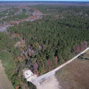 Photo #12 of 793 Puncheon Creek Dr., Andrews, SC 26.1 acres