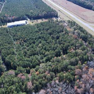 Photo #16 of 793 Puncheon Creek Dr., Andrews, SC 26.1 acres