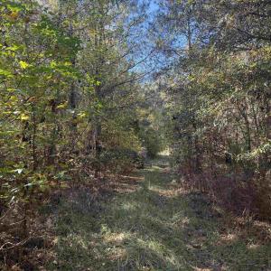Photo #2 of 793 Puncheon Creek Dr., Andrews, SC 26.1 acres