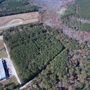 Photo #15 of 793 Puncheon Creek Dr., Andrews, SC 26.1 acres