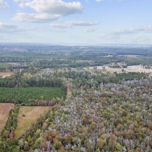 Photo #8 of lots 3-9 Creek Landing Rd, Nichols, SC 25.2 acres