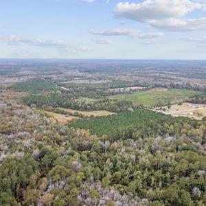 Photo #5 of lots 3-9 Creek Landing Rd, Nichols, SC 25.2 acres