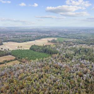 Photo #7 of lots 3-9 Creek Landing Rd, Nichols, SC 25.2 acres