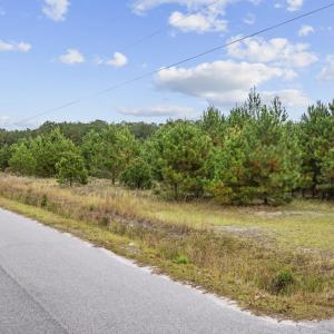 Photo #14 of lots 3-9 Creek Landing Rd, Nichols, SC 25.2 acres