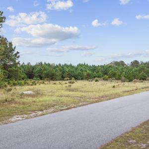 Photo #1 of lots 3-9 Creek Landing Rd, Nichols, SC 25.2 acres