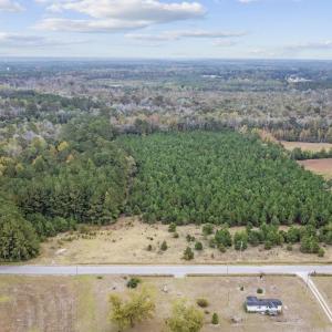 Photo #10 of lots 3-9 Creek Landing Rd, Nichols, SC 25.2 acres