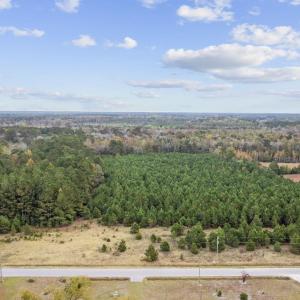 Photo #17 of lots 3-9 Creek Landing Rd, Nichols, SC 25.2 acres