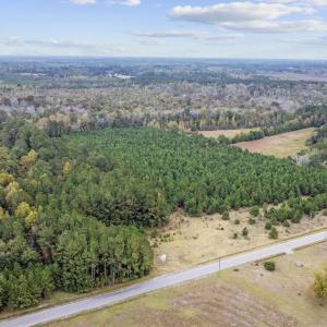 Photo #11 of lots 3-9 Creek Landing Rd, Nichols, SC 25.2 acres