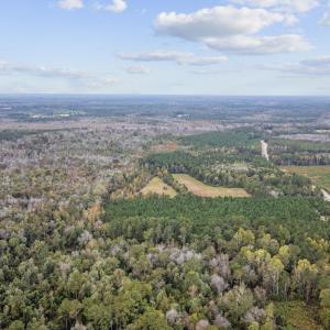 Photo #4 of lots 3-9 Creek Landing Rd, Nichols, SC 25.2 acres