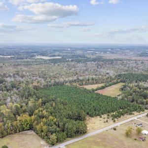 Photo #3 of lots 3-9 Creek Landing Rd, Nichols, SC 25.2 acres