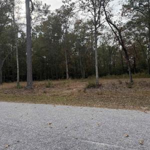 View of road featuring a forest view