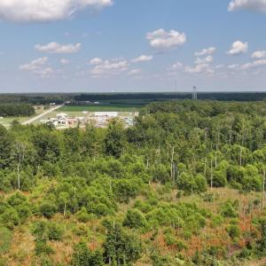 Bird's eye view of a heavily wooded area