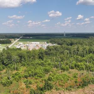 Drone / aerial view of a forest