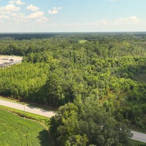 Aerial view of a heavily wooded area