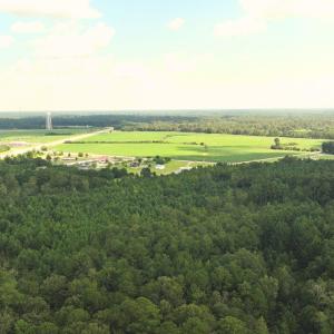View of rural area with a heavily wooded area