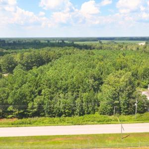 Aerial view of a heavily wooded area