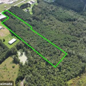 Aerial view of property's location with a forest a