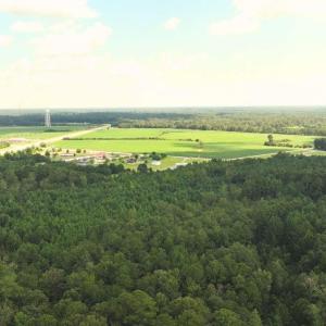 View of rural area with a forest