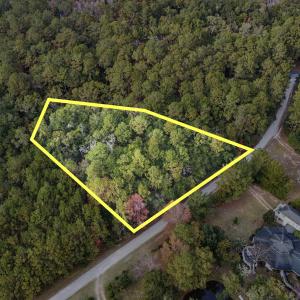 Drone / aerial view of a forest