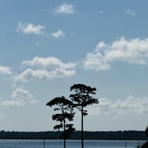 Photo #7 of TBD South Bay St., Georgetown, SC 0.6 acres