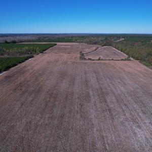 Photo #1 of 53.86 Acres-TBD Pate Rd, Bishopville, SC 53.9 acres