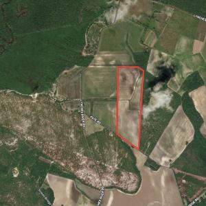 Photo #17 of 53.86 Acres-TBD Pate Rd, Bishopville, SC 53.9 acres
