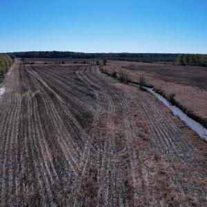 Photo #2 of 53.86 Acres-TBD Pate Rd, Bishopville, SC 53.9 acres