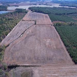 Photo #4 of 53.86 Acres-TBD Pate Rd, Bishopville, SC 53.9 acres