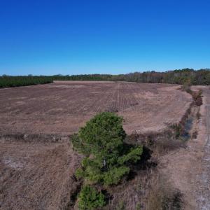 Photo #11 of 53.86 Acres-TBD Pate Rd, Bishopville, SC 53.9 acres