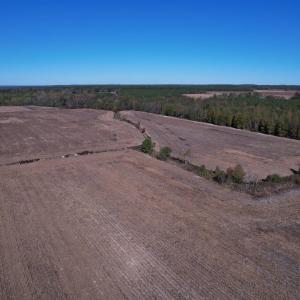 Photo #7 of 53.86 Acres-TBD Pate Rd, Bishopville, SC 53.9 acres