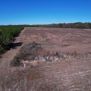 Photo #12 of 53.86 Acres-TBD Pate Rd, Bishopville, SC 53.9 acres
